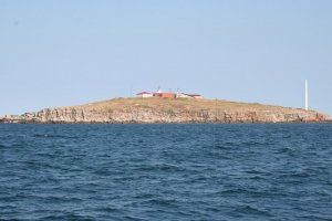 Украинските въоръжени сили нанесоха по Змийския остров концентриран удар с различни сили