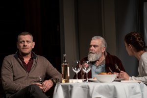 Заглавието разбира се е подвеждащо Владмир Пенев е прекрасен актьор но