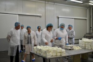 Избори сега означават хаос Те биха били нелогични вредни Липса