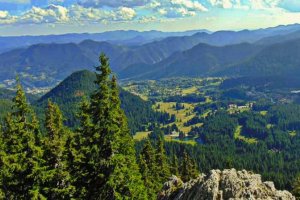 Възрастна жена и внучето й оцеляха след бродене и пренощуване