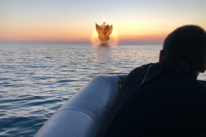 Българските военноморски сили ВМС обезвредиха морска мина в района на