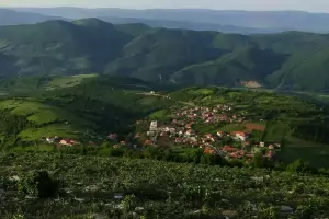 Нагоре, където Хамза Горския каже!