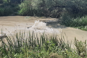 Десетки селища са без вода или на прага на режим