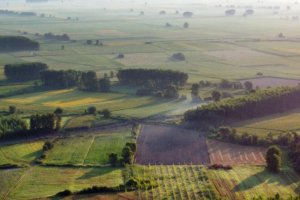 Гърция протестира официално и остро пред Сърбия заради разбилия се край