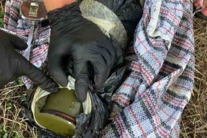 Впечатляващ боен арсенал от три бомби 9 пистолета два автомата