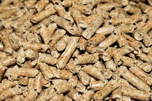 Рекордно нарастване на търсенето на електрически скутери и пелети за