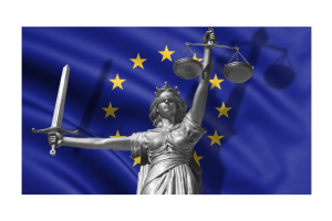 Европейската комисия установи 15 та поред година че в България няма