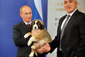 Не стига на магарето крастата ами и мухите го хапят Христо