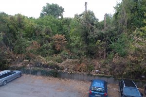 Терени шумно обещани като инструмент за ограничаване на сечта и