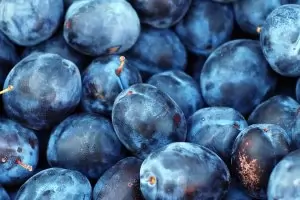 Не пренебрегвайте сините сливи