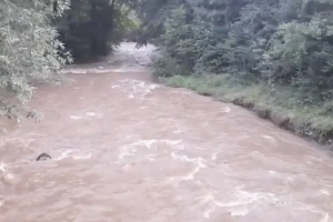 В Своге е започнало изваждането и транспортирането в екарисаж на