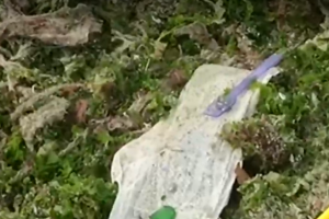 Двама български туристи са се натъкнали вчера на марли бинтове