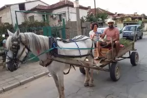 Защо каруцата е цяла, защо пиперът е червен - политици омайват народа