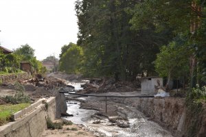 Около три седмици след началото на раздаването им представители на