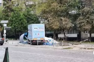 Камион уби момиче на пешеходна пътека в София