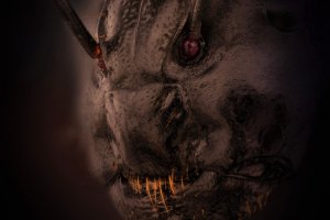 Увеличена снимка на лице на мравка която беше част от