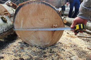 С пълно мнозинство парламентът гласува предложението на Продължаваме промяната да