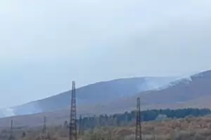 Тежки пожари бушуват в полигон, гори и сметище 