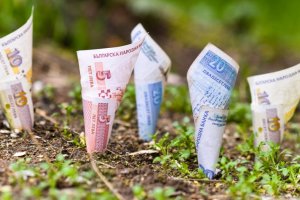 Настъпва сезонът за плащане на земеделските ренти Сайтът  дава разяснения какви са