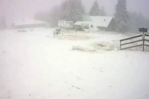 В Пампорово натрупа 5 см сняг