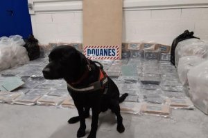 Митнически служители в Аркашон в Югозападна Франция са открили в камион