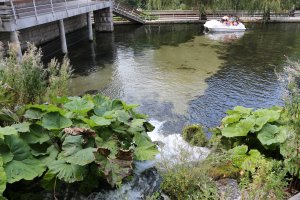 Жители на Велинград се събраха на протест в сградата на