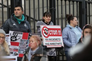 Полицията е разкрила през последната година общо 35 престъпления срещу