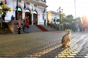 Агенция Булфото събра част от най интересните снимки направени от фоторепортерите й