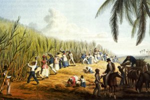 Нидерландският премиер Марк Рюте се извини днес от името своята