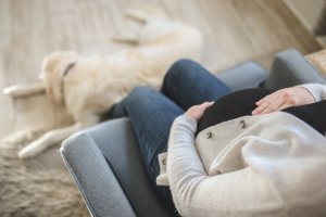 Върховният административен съд окончателно текстовете от Правилника за организацията на работа