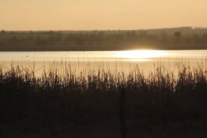 Два пожара в два последователни дни вилняха на Шабленското езеро