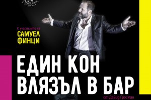 Спектакълът Един кон влязъл в бар  по едноименния роман на Давид