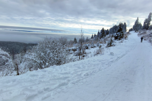 Ски пистите на Витоша остават затворени и този уикенд В