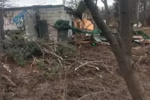 Собственикът на къпалнята "Мария Луиза" е унищожил 20 здрави дървета
