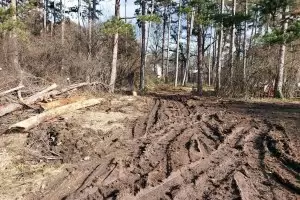 В къпалнята "Мария Луиза" пак се сече напук на общината