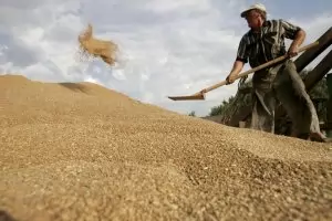 България спира украинското зърно до края на годината