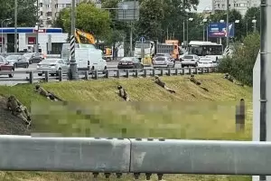 Москва спешно копае окопи и издига барикади срещу "Вагнер"