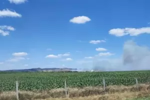 Вятърът и жегата доведоха до пожар край Бургас
