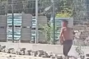 ГИТ откри бащата на детето с паветата и още куп нарушения