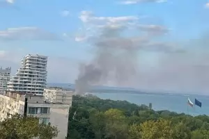 Пожар избухна край Бургас