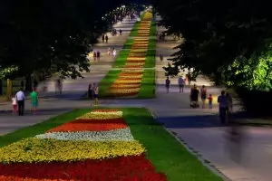 Според букмейкърите най-оспорвана е кметската битка във Варна