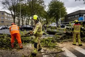 Мощни ветрове донесоха хаос в Западна Европа