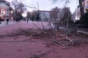 Кметът на Варна тайно насрочи бедствието до 3 декември