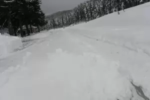 Поне 40 аварии бавят допълнително БДЖ