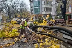 Варна оцени на 1.3 млн. лв. щетите от урагана