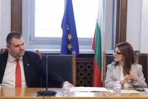 НПО търси конституционния опит на Десислава Атанасова