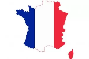 Затвориха два реактора на френската АЕЦ „Шинон“ след пожар