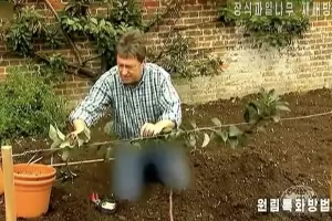 Водещ от Би Би Си се оказа хит в Северна Корея, но без дънки