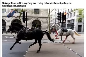 Уплашени коне раниха хора в центъра на Лондон