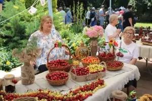 НАП погва производителите на череши да декларират реколтата си